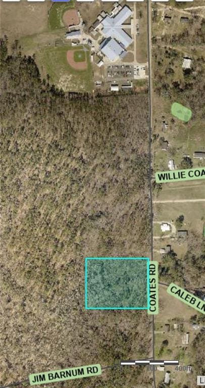 Coates Rd, Springfield LA, 70462 land for sale