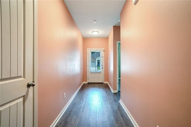 doorway to outside with dark hardwood / wood-style flooring