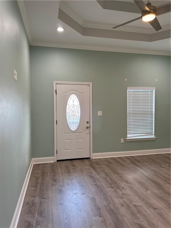 entrance foyer featuring a raised ceiling, wood-type flooring, ceiling fan, and crown molding