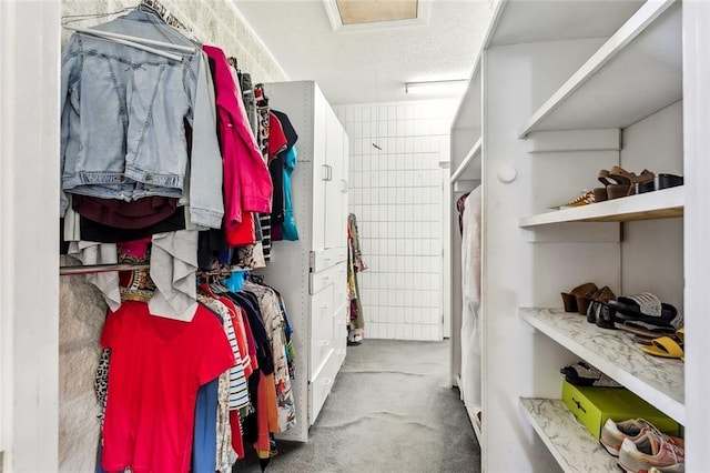 view of spacious closet