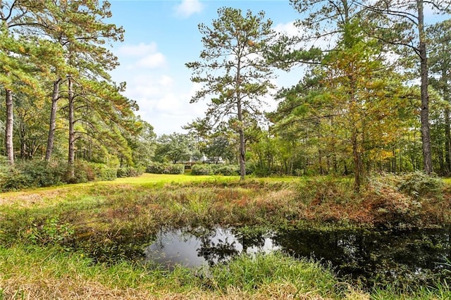 view of nature with a water view