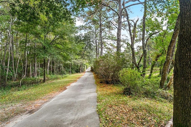 view of road