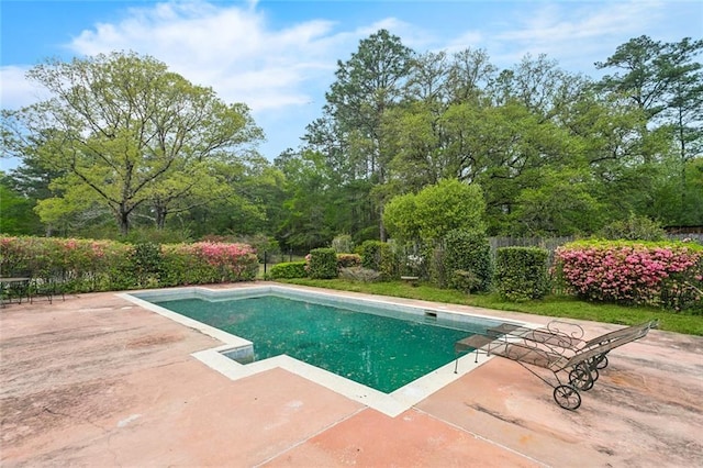 view of swimming pool with a patio and a fenced in pool