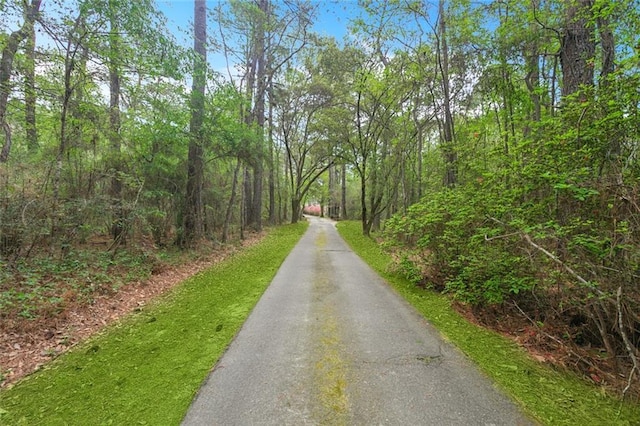 view of road with a view of trees