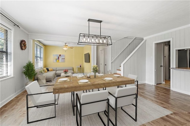 dining area with light hardwood / wood-style floors, ceiling fan, and ornamental molding