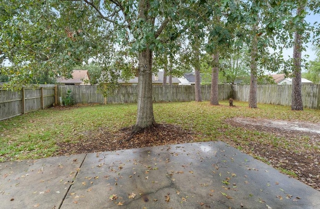 view of yard featuring a patio area