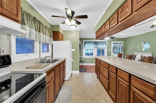 kitchen featuring white appliances, sink, ceiling fan, and crown molding