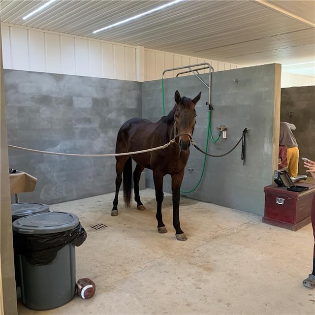 view of horse barn