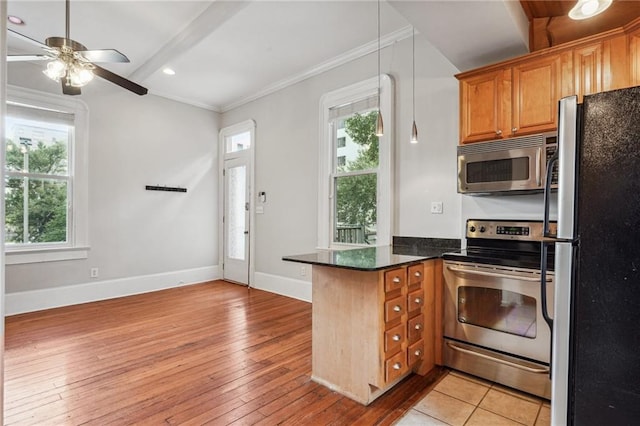 kitchen featuring a wealth of natural light, ceiling fan, light hardwood / wood-style flooring, and appliances with stainless steel finishes