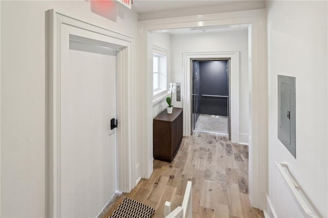 hallway featuring electric panel and light hardwood / wood-style floors