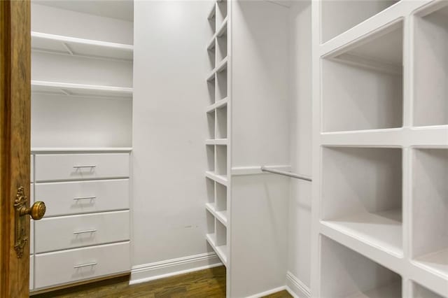 walk in closet featuring dark wood-type flooring