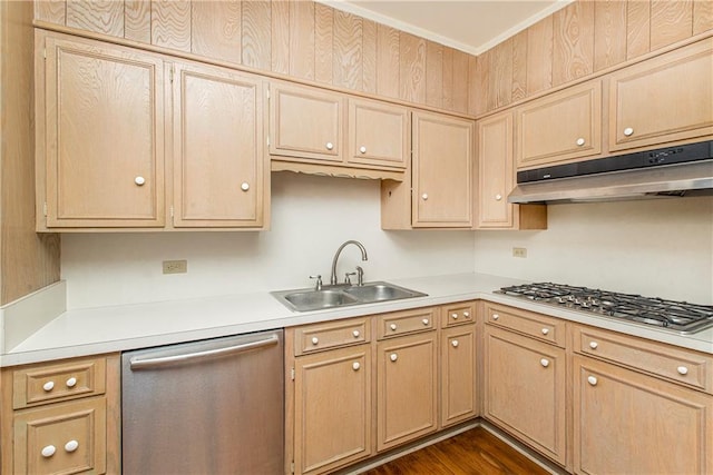 kitchen with light brown cabinets, sink, dark hardwood / wood-style floors, appliances with stainless steel finishes, and ornamental molding