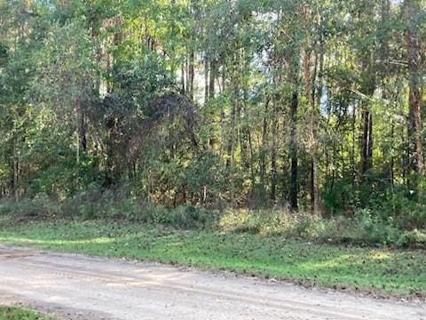 0 Lake Dr, Angie LA, 70426 land for sale