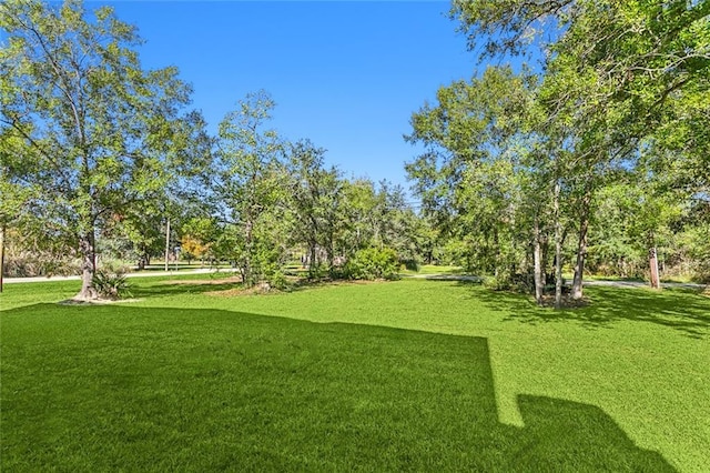 view of community with a yard