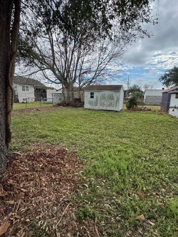 view of yard with a storage unit