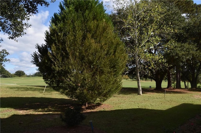 view of property's community featuring a lawn