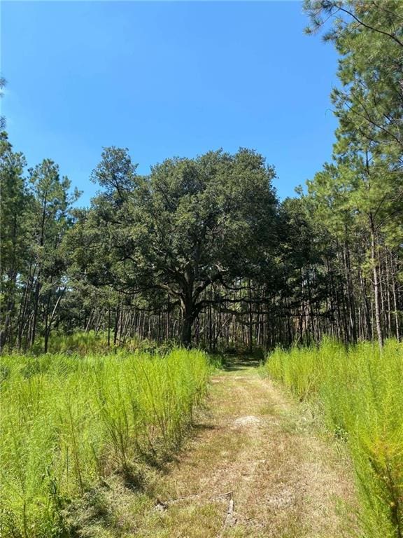 29424 George White Rd, Holden, LA 70744