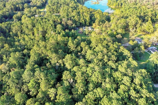 Howard Oberry Rd, Pearl River, LA 70452 - photo 8