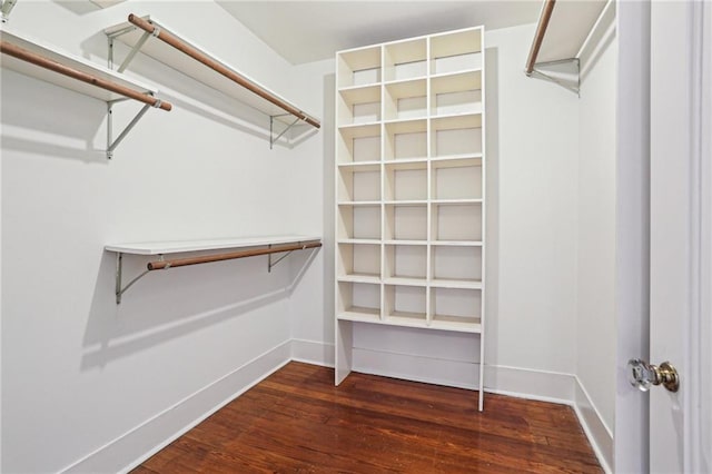 spacious closet featuring dark wood-type flooring