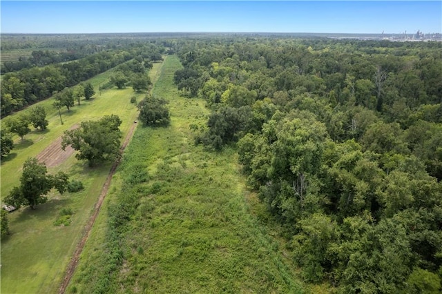 aerial view