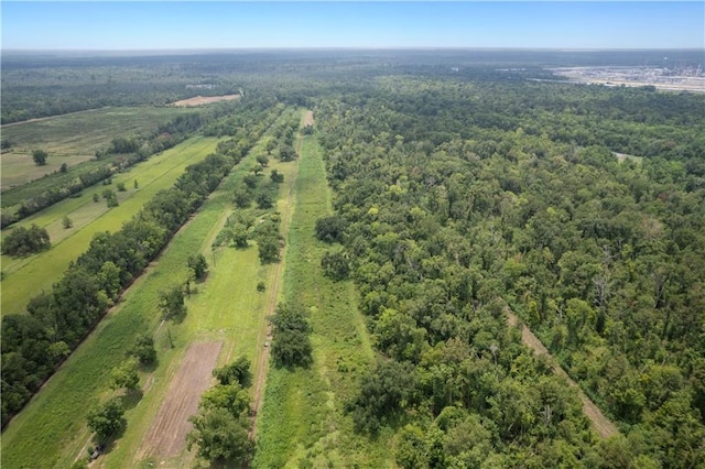 bird's eye view