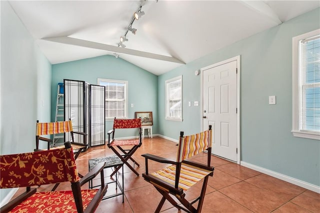 living area with plenty of natural light, rail lighting, and vaulted ceiling