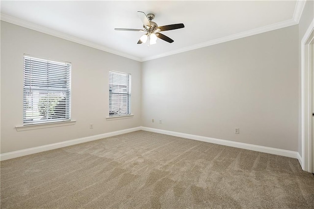 carpeted empty room with ceiling fan and crown molding