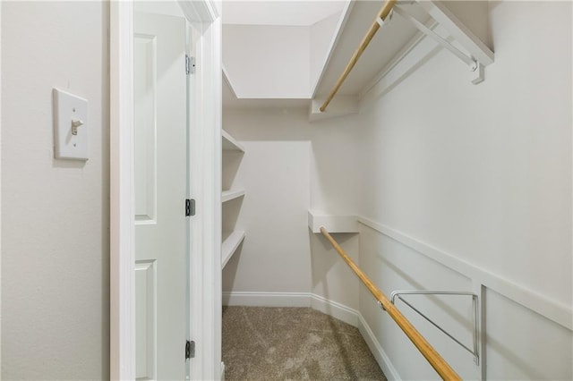 spacious closet with carpet