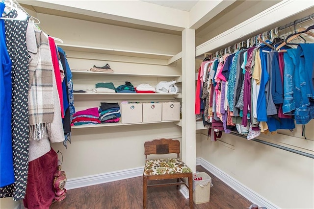spacious closet featuring wood finished floors