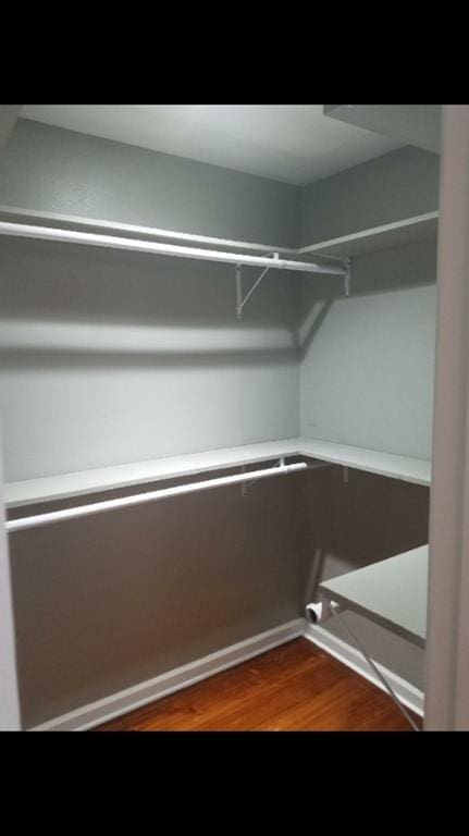 spacious closet featuring wood-type flooring