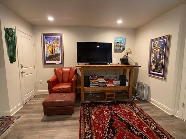 living room featuring hardwood / wood-style flooring