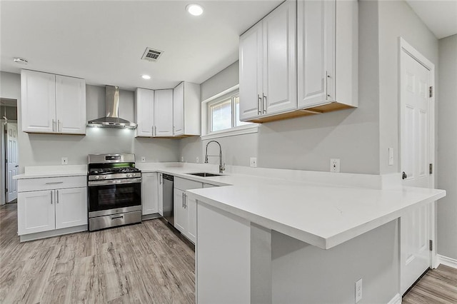 kitchen with white cabinetry, appliances with stainless steel finishes, sink, and wall chimney range hood