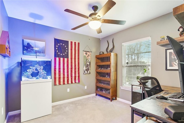 carpeted office space featuring a wealth of natural light and ceiling fan