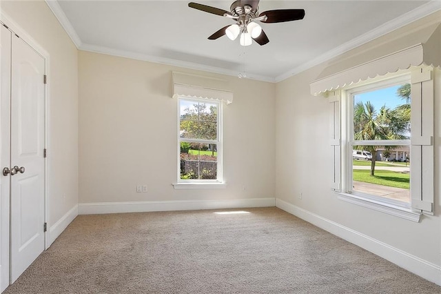 unfurnished room featuring carpet floors, ceiling fan, and crown molding