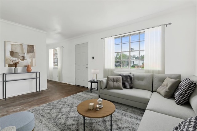 living room with dark hardwood / wood-style floors, a wealth of natural light, and ornamental molding