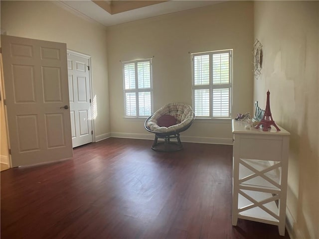 unfurnished room featuring dark wood-type flooring