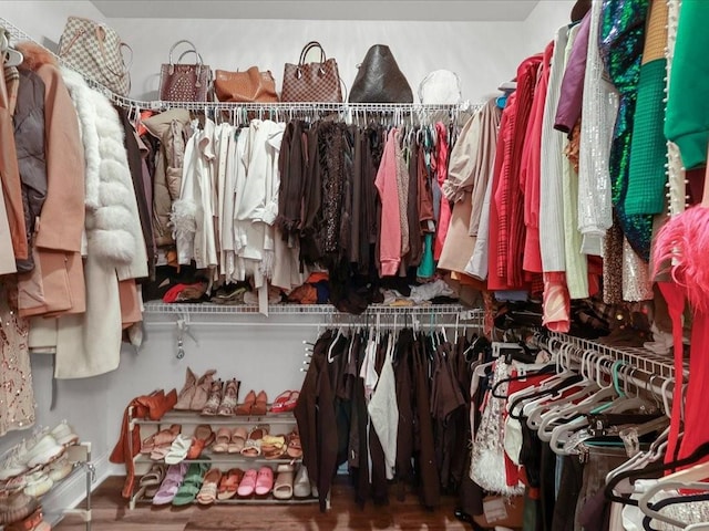 walk in closet featuring wood-type flooring