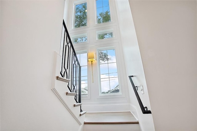 stairway with wood-type flooring and a wealth of natural light