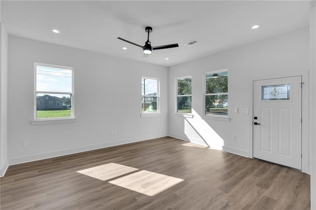 foyer with light hardwood / wood-style flooring, plenty of natural light, and ceiling fan