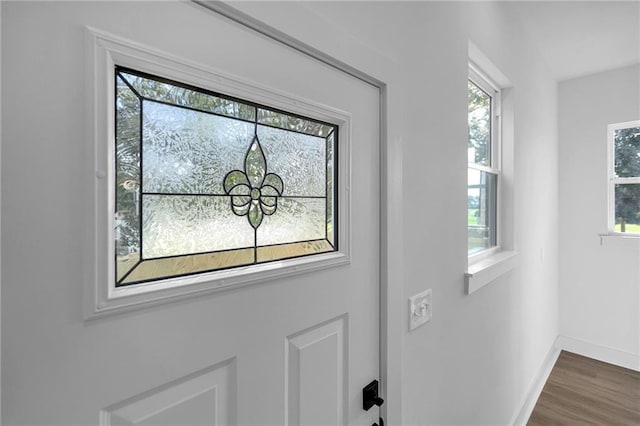 room details with hardwood / wood-style floors