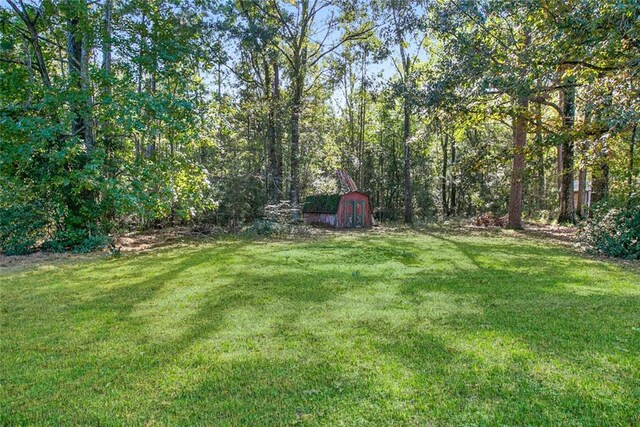 rear view of property featuring a patio area and a yard