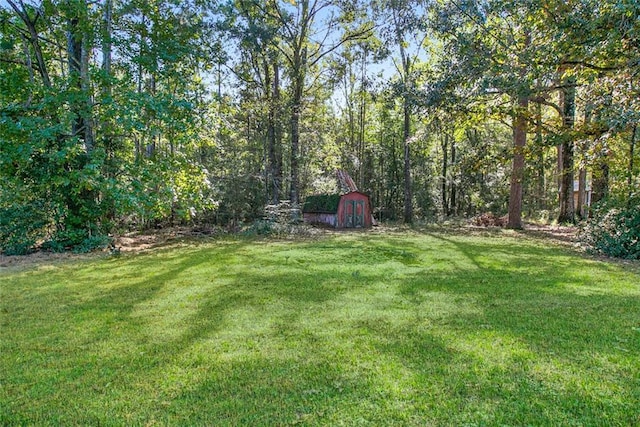 view of yard featuring an outbuilding and a storage shed