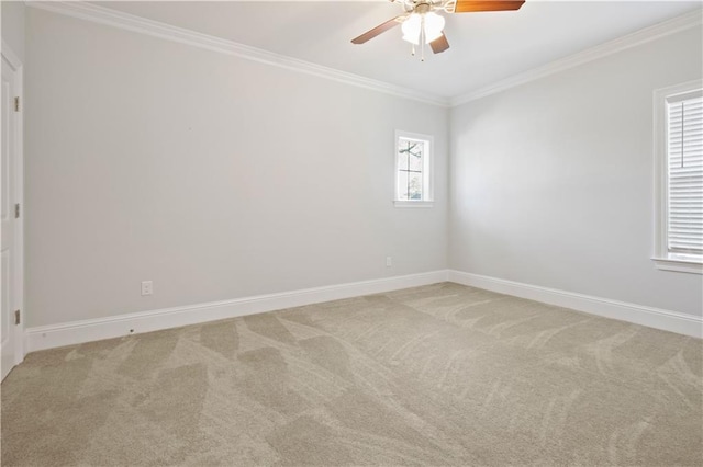 spare room featuring carpet flooring, ceiling fan, and ornamental molding