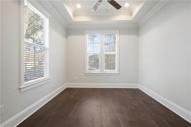 empty room featuring a tray ceiling, a wealth of natural light, and dark wood-type flooring