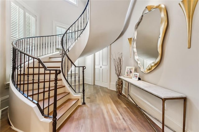 staircase with hardwood / wood-style flooring