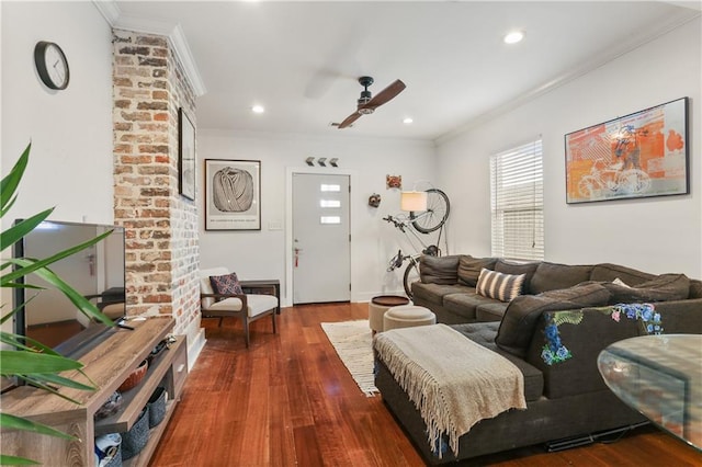 living room featuring ceiling fan, ornamental molding, and dark wood-type flooring