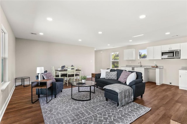 living room featuring sink and dark wood-type flooring