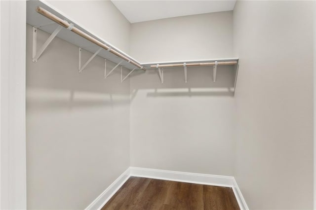 walk in closet with hardwood / wood-style floors