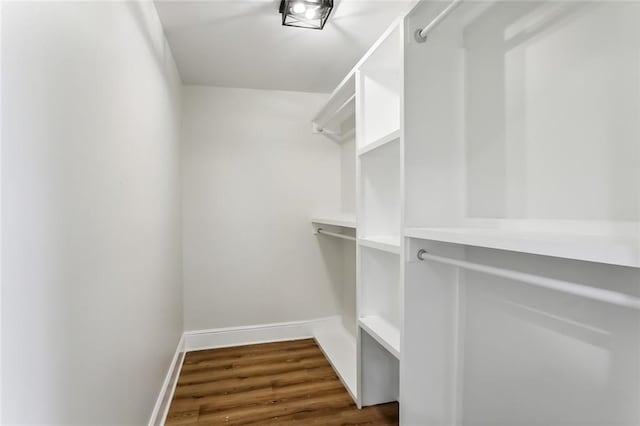 walk in closet featuring dark hardwood / wood-style floors