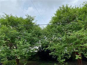 218 Pelican Ave, New Orleans, LA 70114